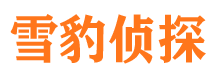 旌德寻人公司